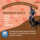 Aulas de obediência para cães